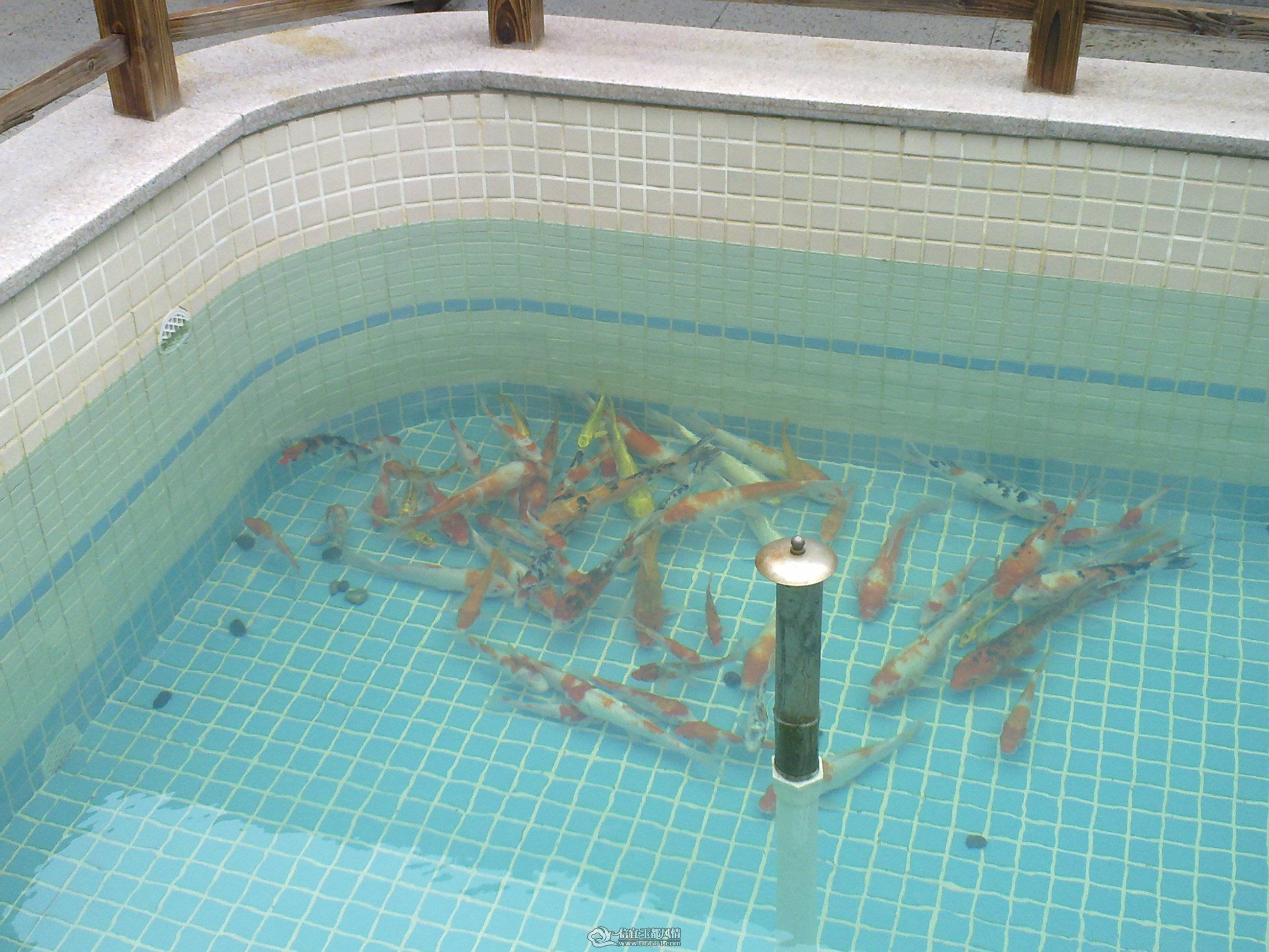 201104261369.jpg
