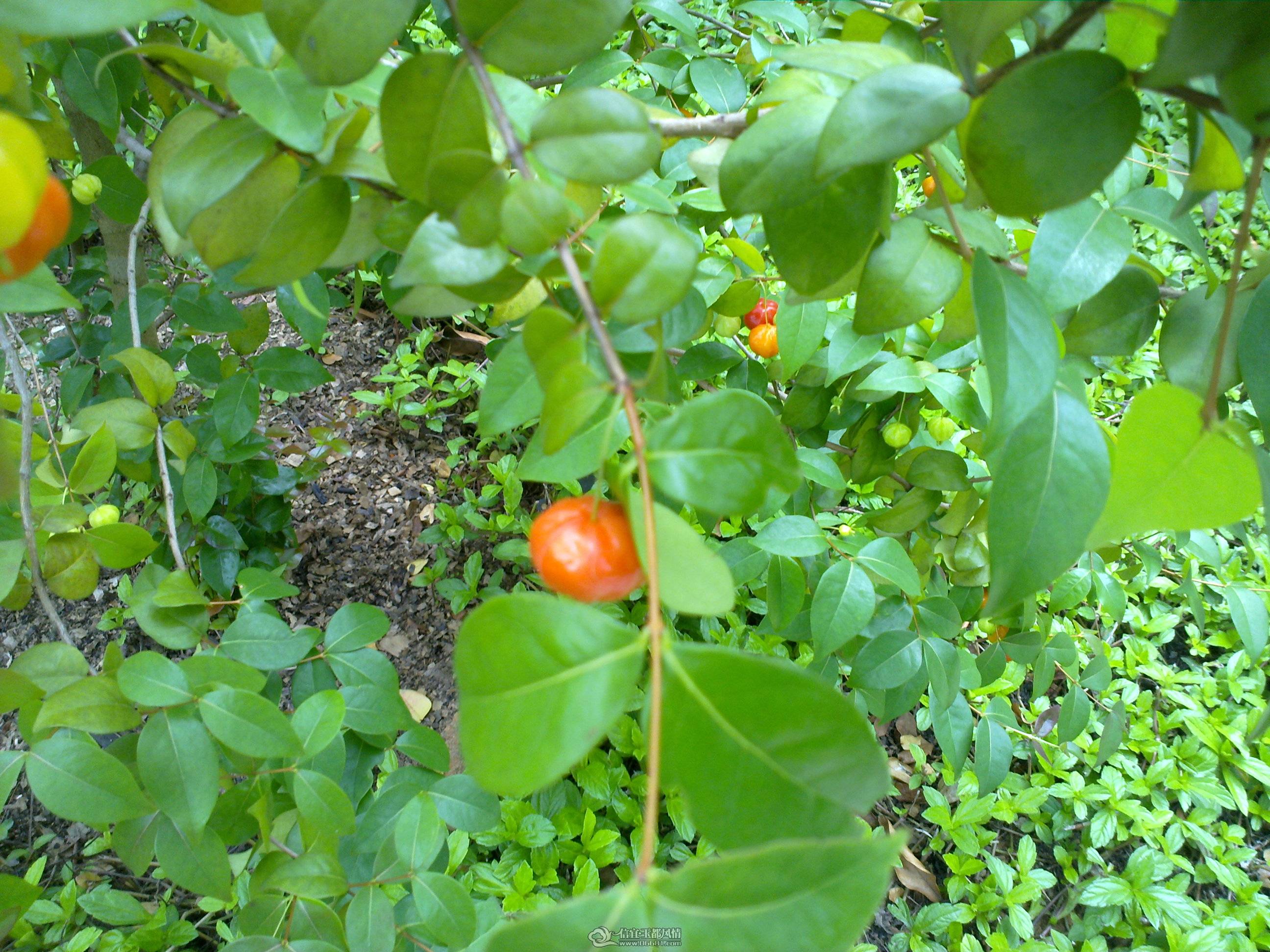 201104261372.jpg