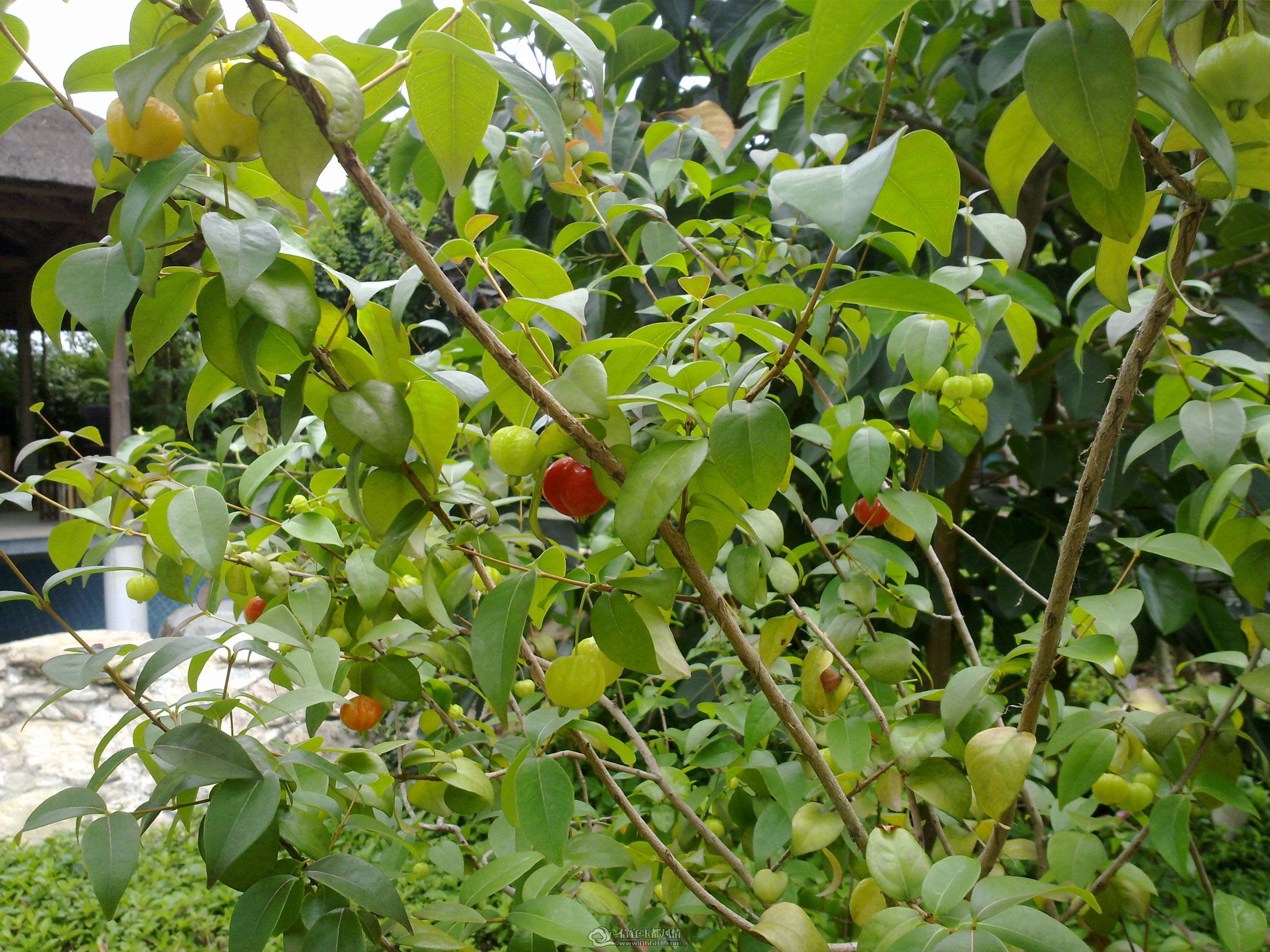 201104261373.jpg