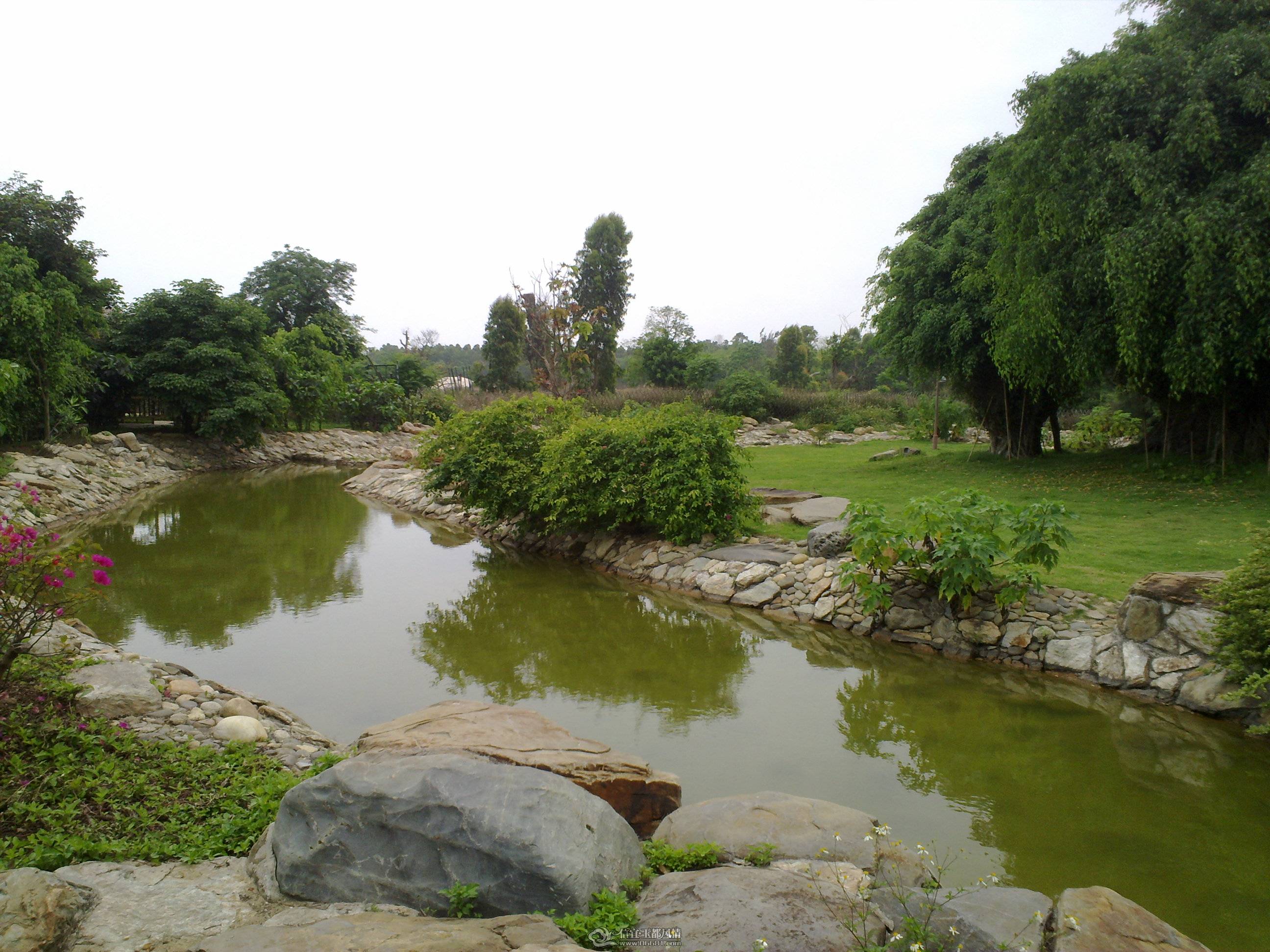 201104261374.jpg