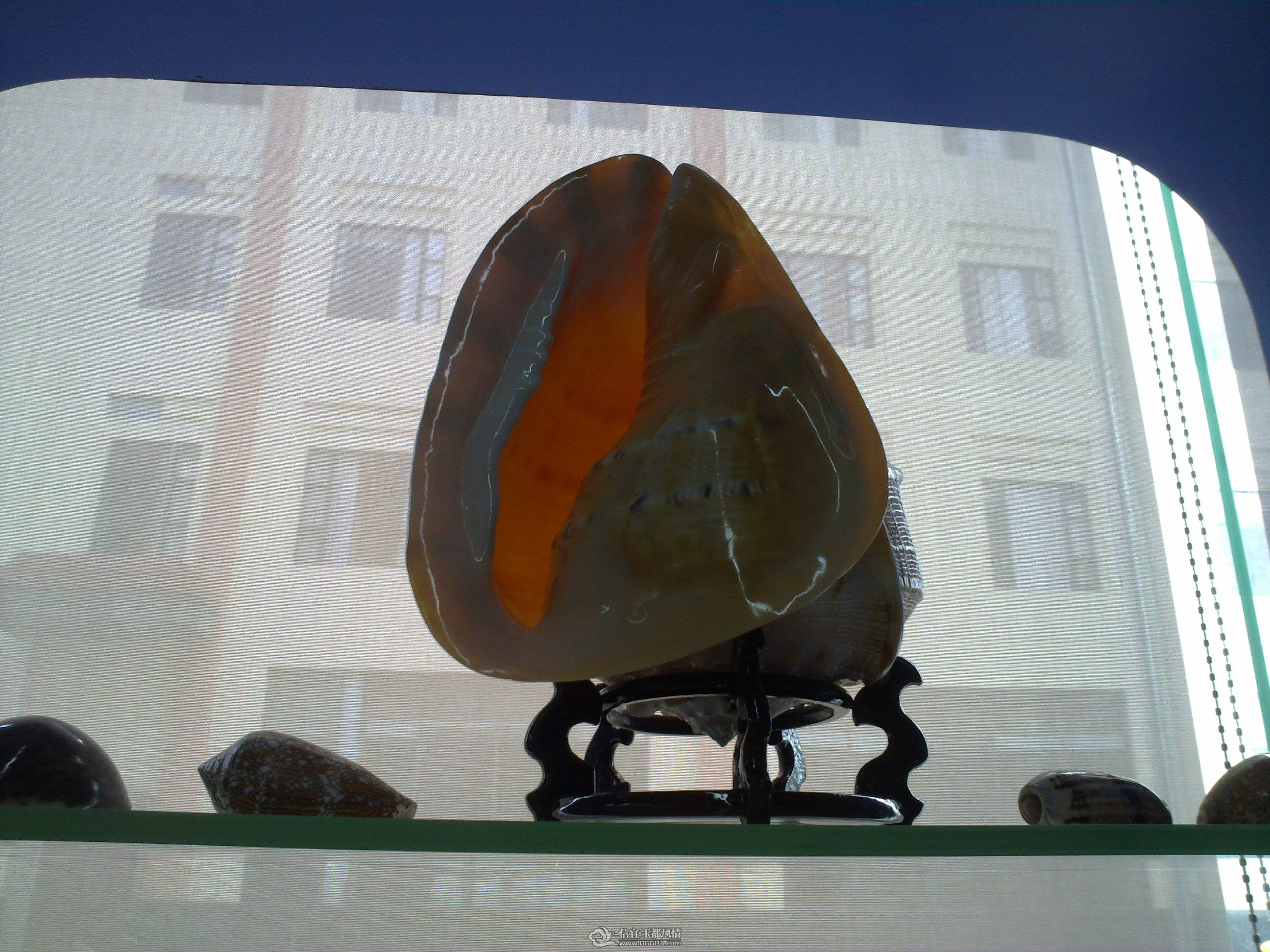 201104261398.jpg