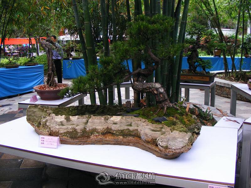 ������С DSCF1295.JPG