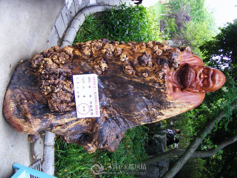 ������С DSCF1297.JPG