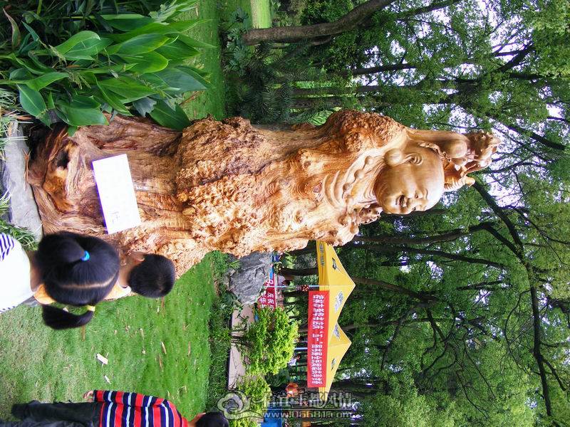 ������С DSCF1317.JPG