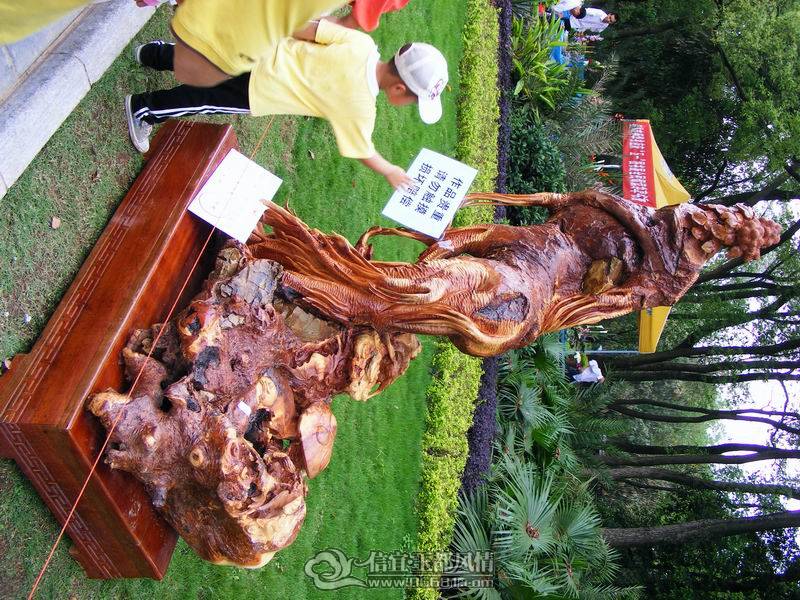 ������С DSCF1329.JPG