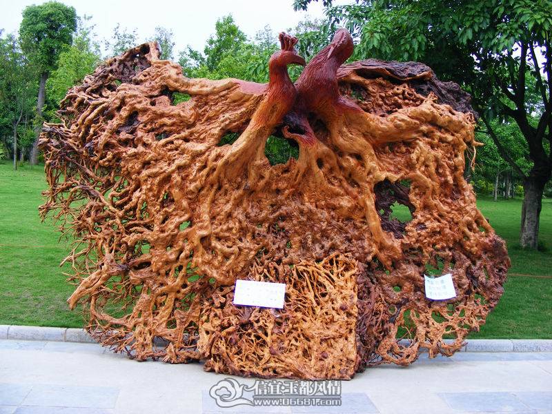������С DSCF1355.JPG