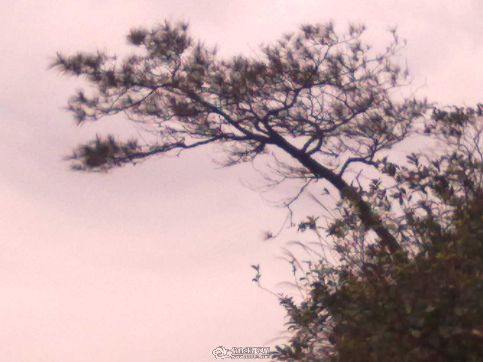 ��Ƭ 052.jpg