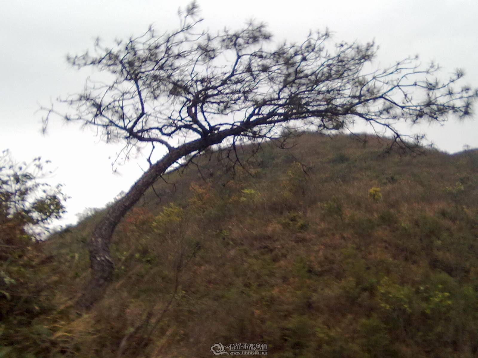 ��Ƭ 053.jpg