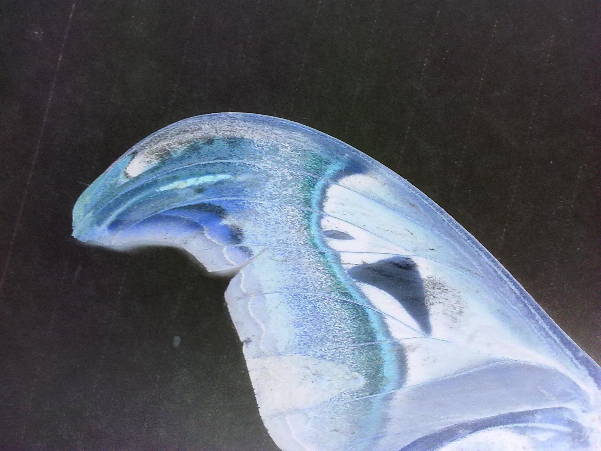 06.JPG