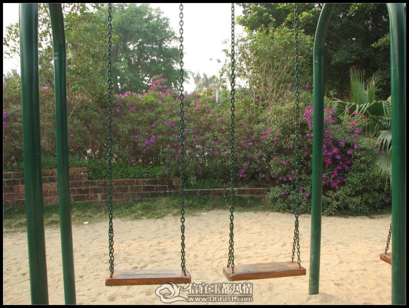 conew_img_4926.jpg