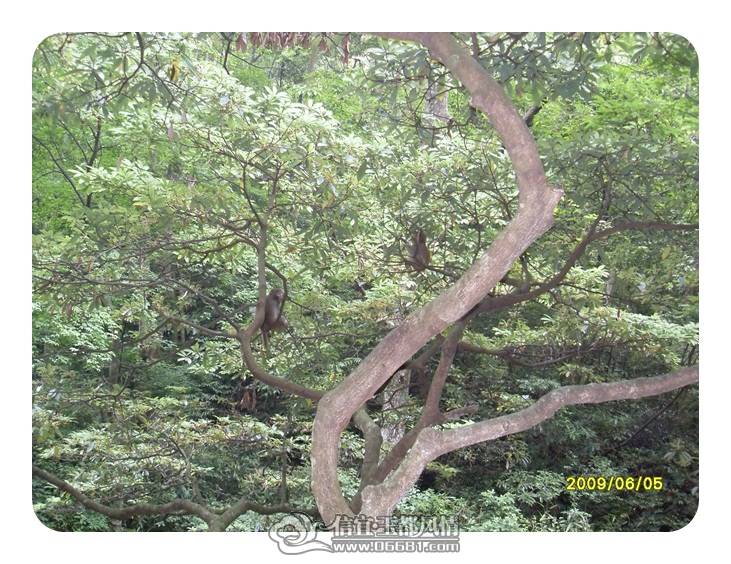 SDC11404.JPG