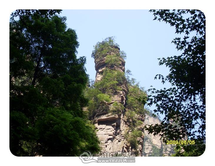 SDC11416.JPG