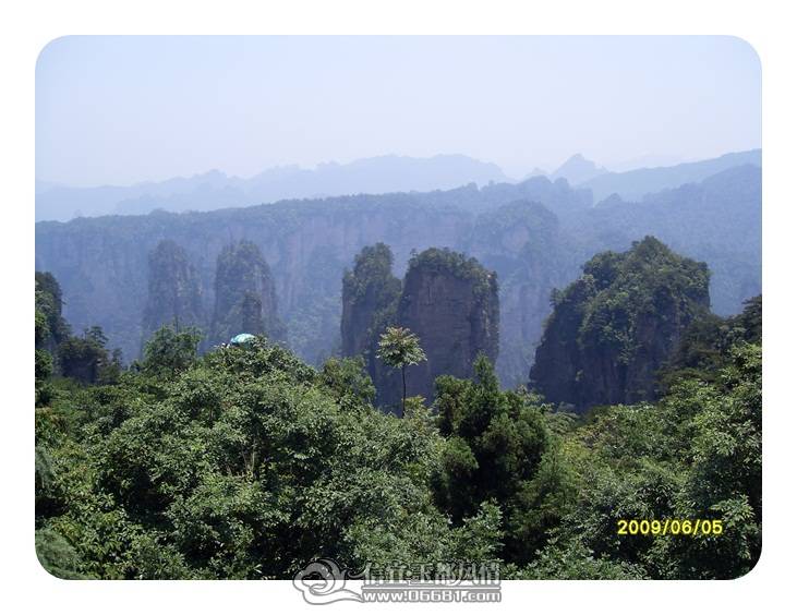 SDC11478.JPG