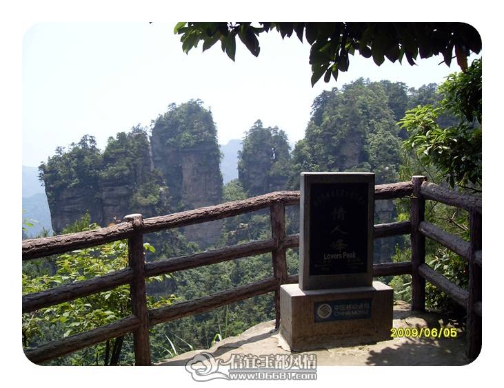 SDC11544.JPG