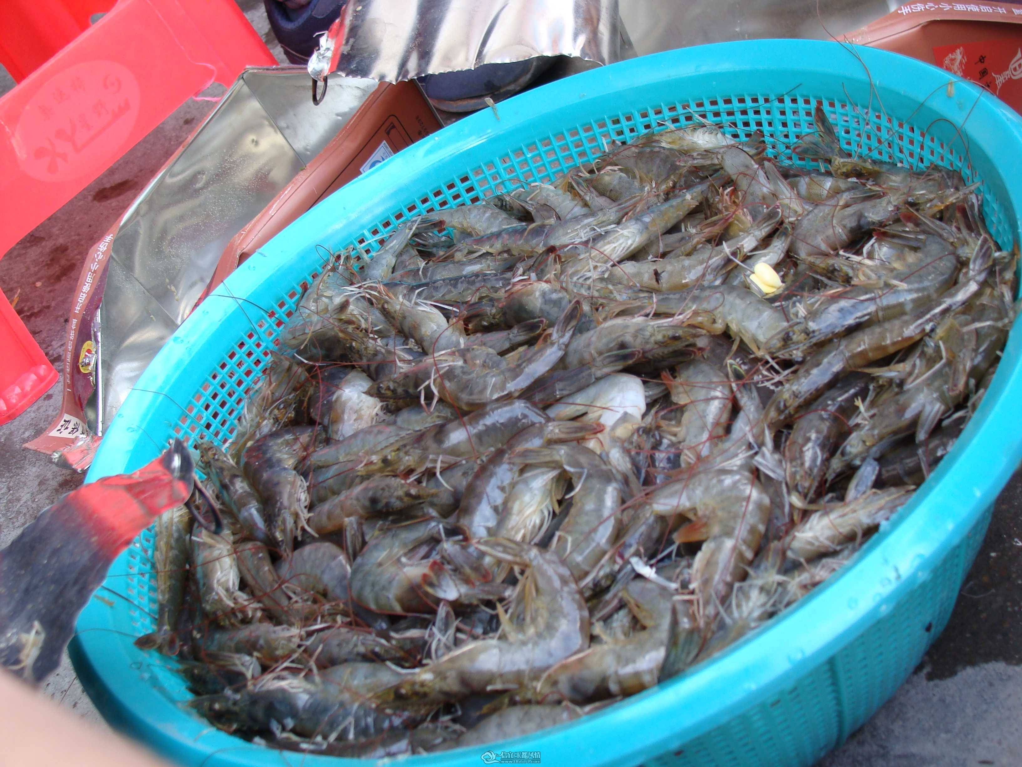 DSC01125.JPG