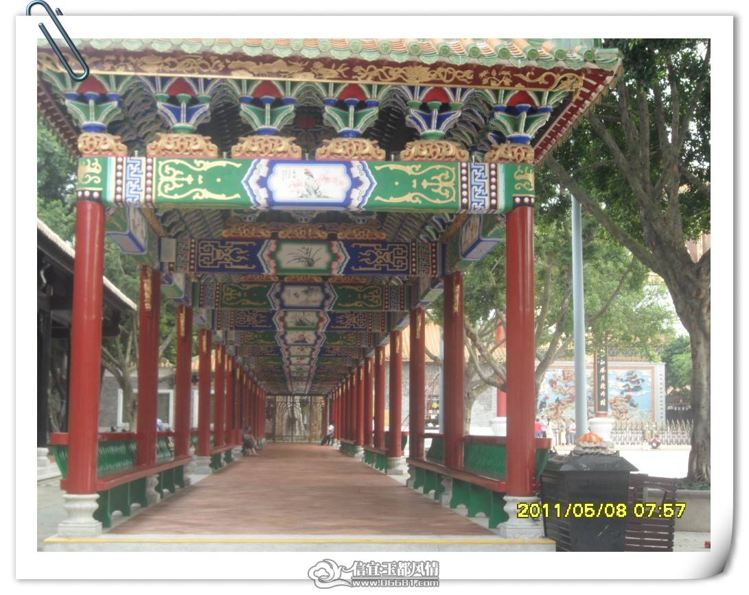 SAM_1511_conew1.jpg