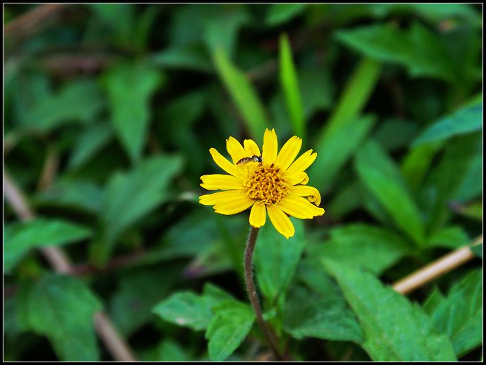 dsc00490_����.jpg