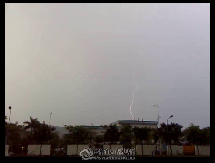 20110511-003.jpg