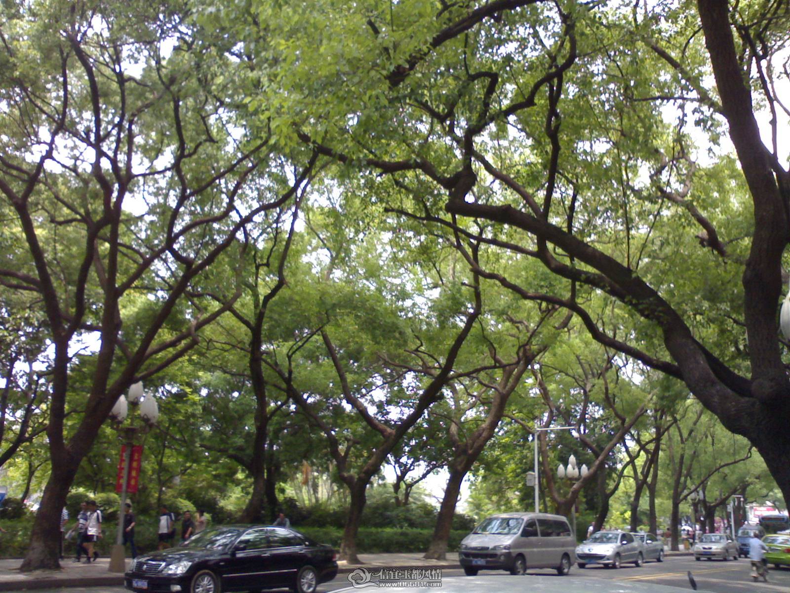 20110502241.jpg
