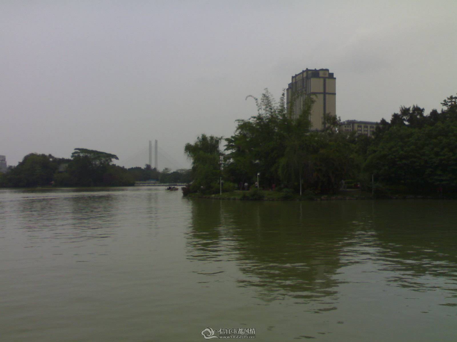 20110502251.jpg