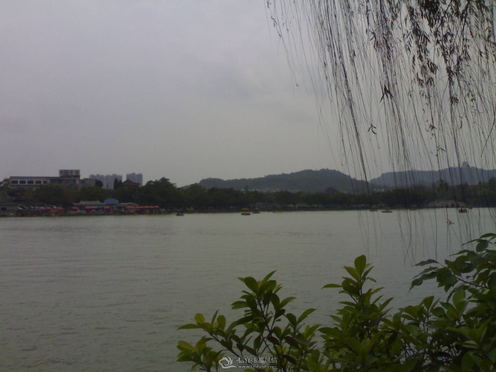 20110502252.jpg