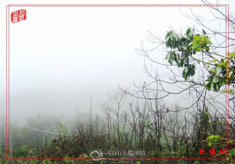 IMG_0421.jpg