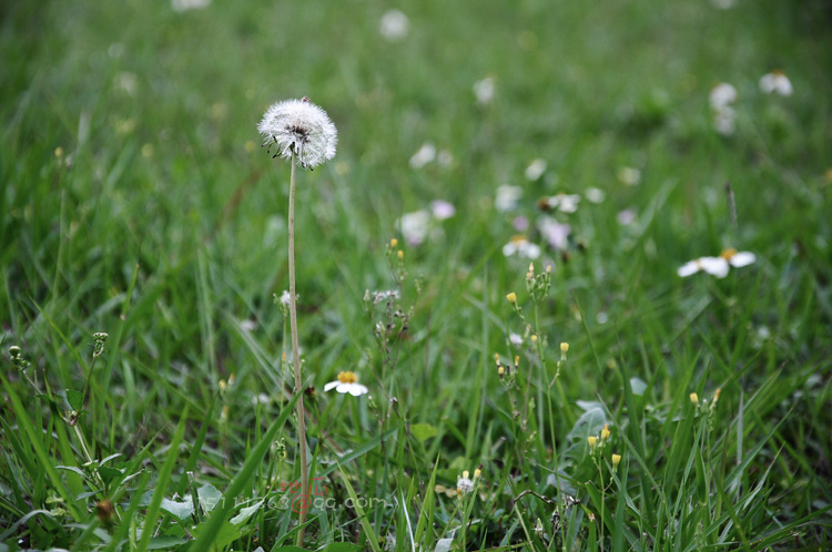 DSC_9839.JPG