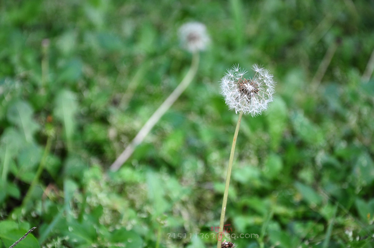 DSC_9861.JPG