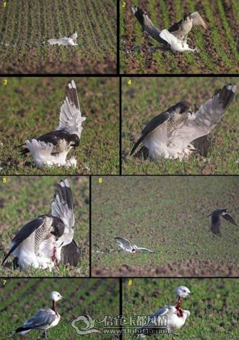 http_imgloadCAW5VMQD1.jpg