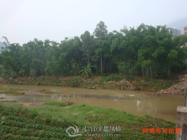 DSC09500.jpg