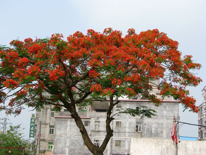 IMG_5442.jpg