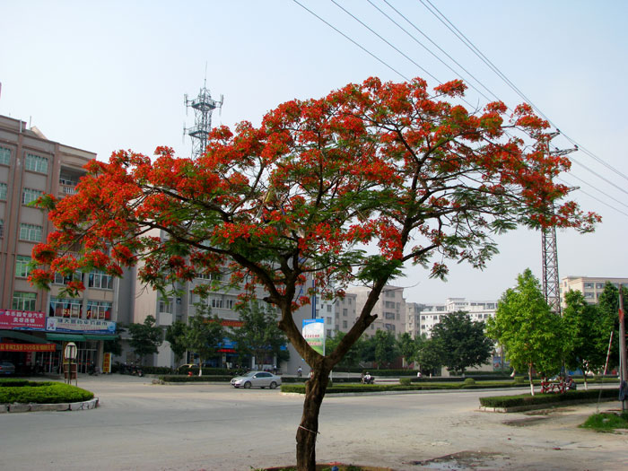 IMG_5443.jpg