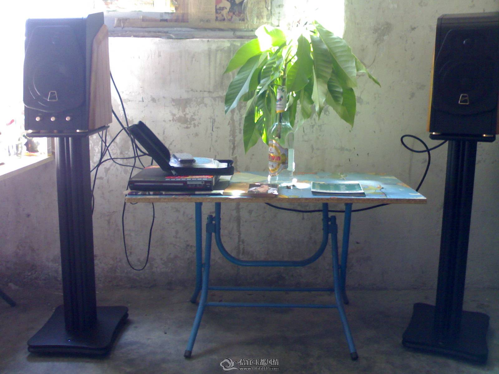 20110519045.jpg