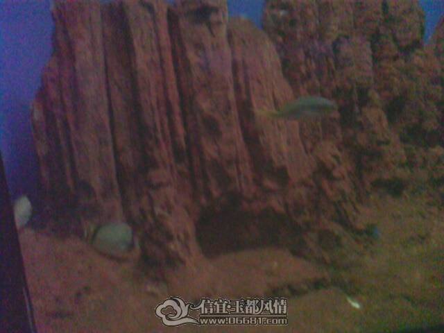 IMG0179A.jpg