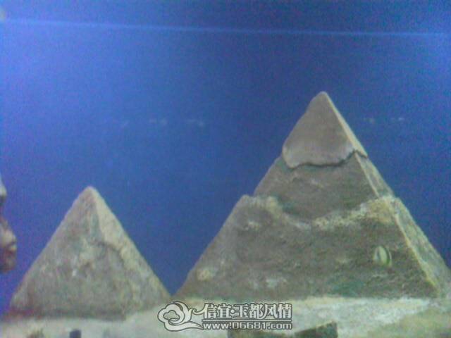 IMG0182A.jpg