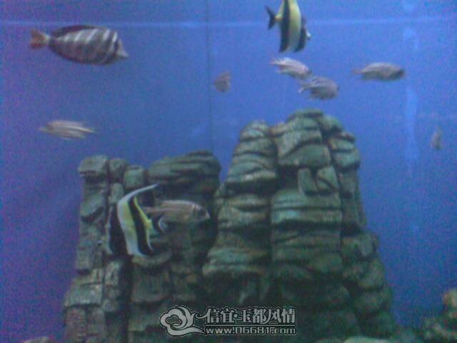 IMG0184A.jpg