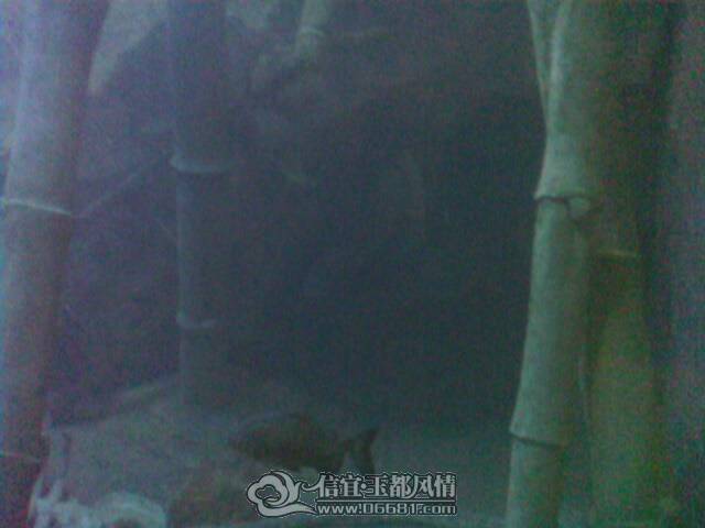 IMG0186A.jpg
