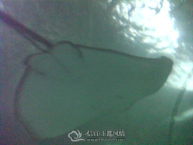 IMG0209A.jpg
