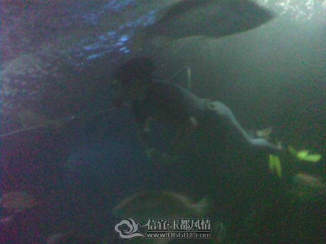 IMG0228A.jpg