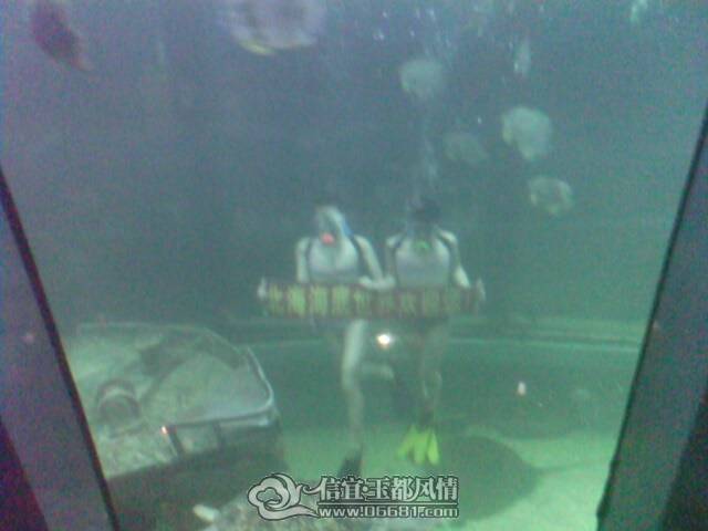 IMG0233A.jpg