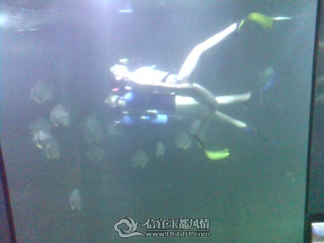 IMG0237A.jpg