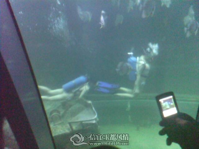 IMG0238A.jpg