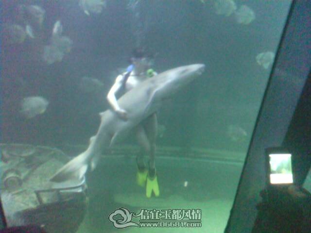 IMG0247A.jpg