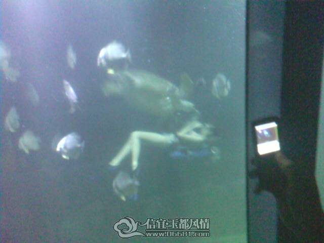 IMG0251A.jpg