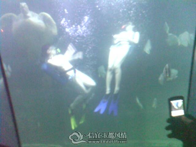 IMG0255A.jpg