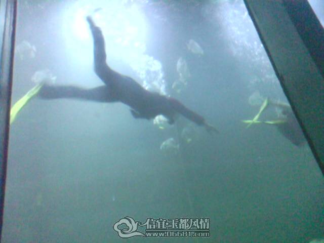 IMG0260A.jpg