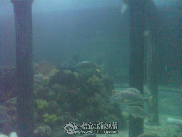 IMG0263A.jpg