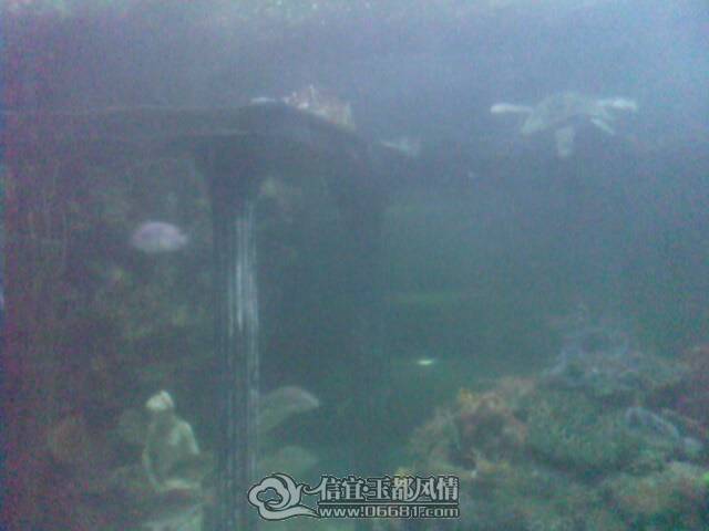 IMG0268A.jpg