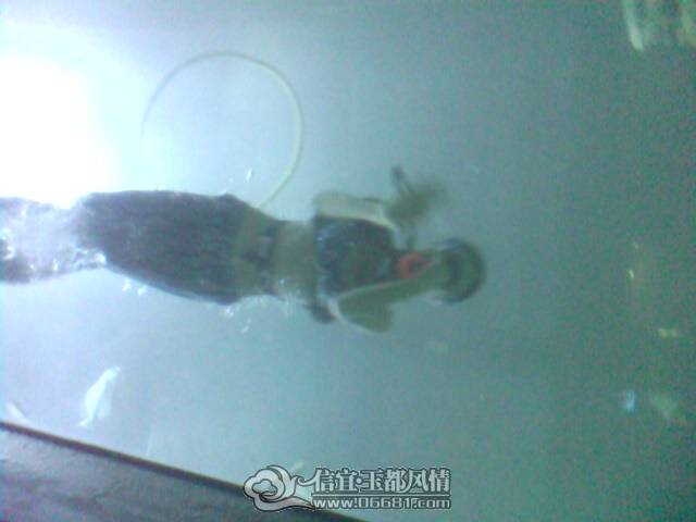 IMG0275A.jpg
