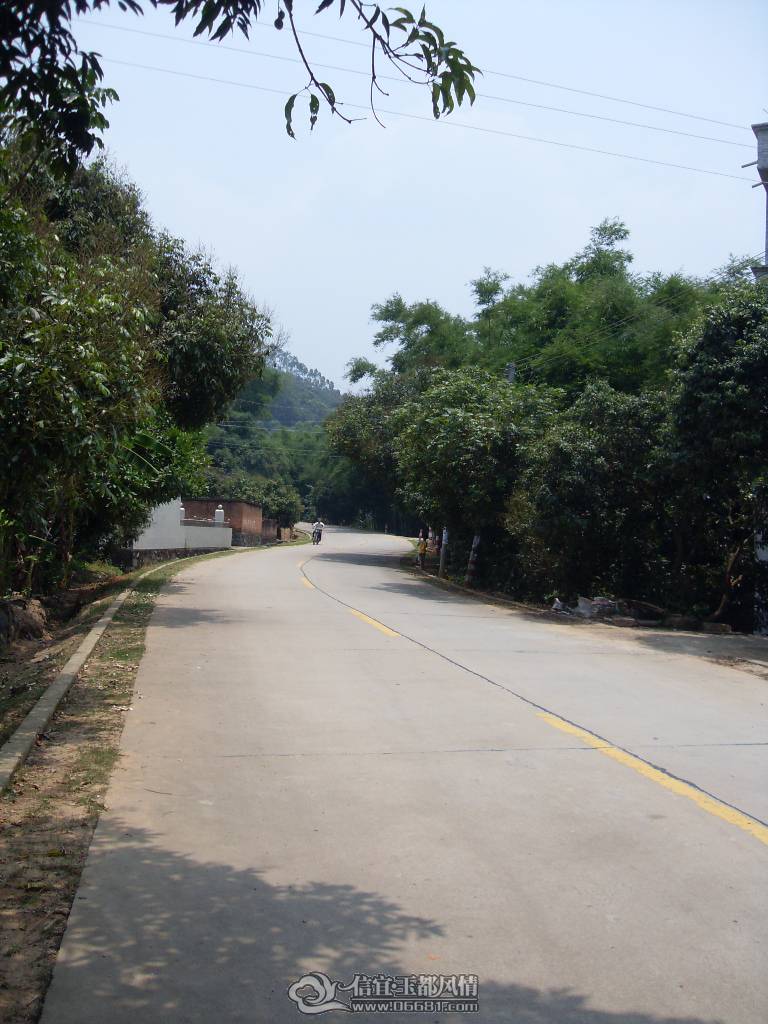 SDC12691.JPG